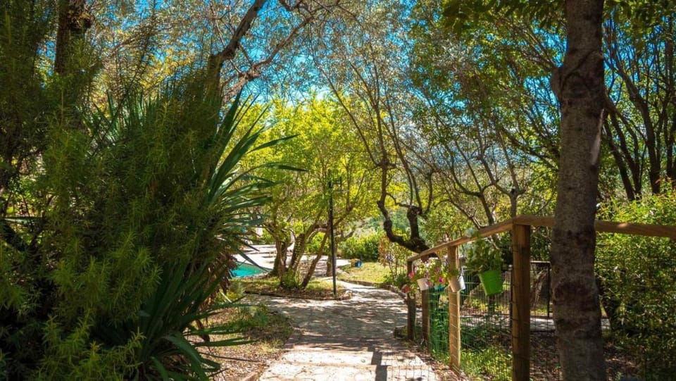 Natural landscape, Garden