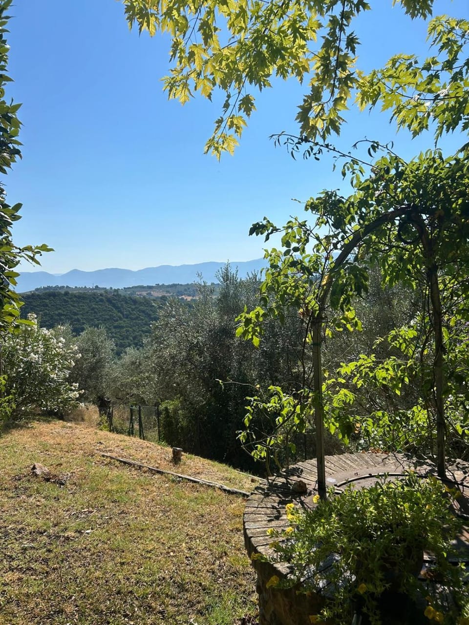 Natural landscape