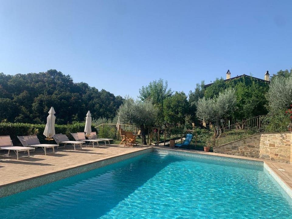 Pool view, Swimming pool