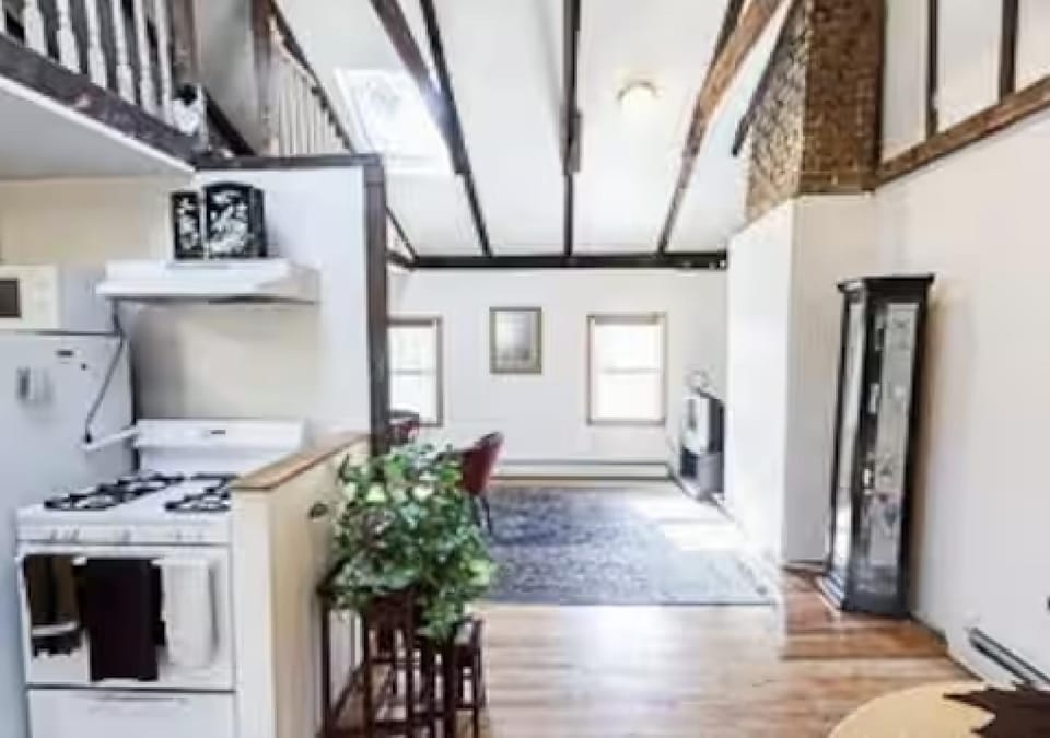 Skylighted Two BR in Multicultural Neighborhood, 25 minutes to Manhattan Apartment in Bedford-Stuyvesant