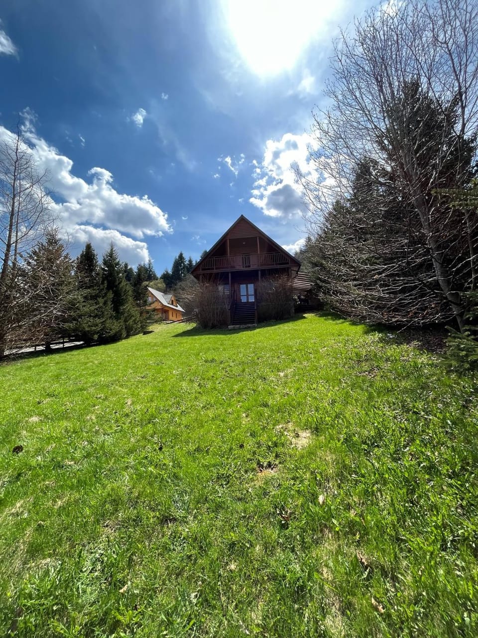 Property building, Natural landscape, Garden