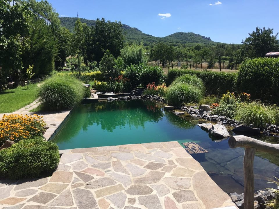 Balcony/Terrace, Swimming pool, Swimming pool