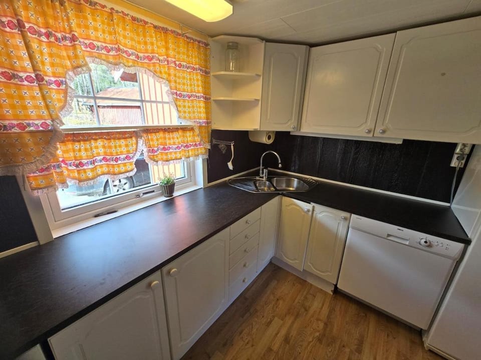Kitchen or kitchenette, dishwasher, stove