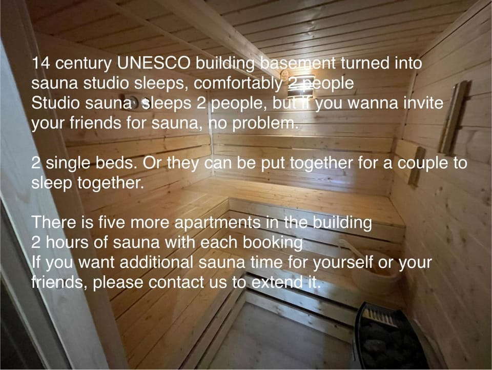 Sauna apartment UNESCO 14 century Apartment hotel in Cesky Krumlov