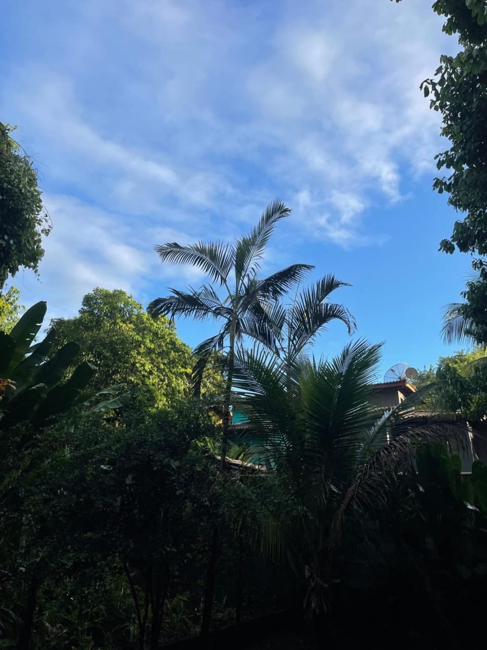 Natural landscape, Garden view
