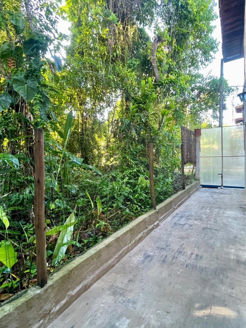 Garden view