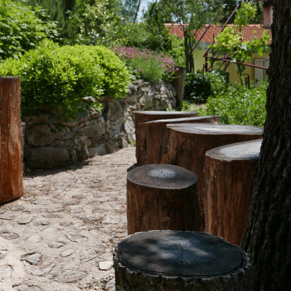 Patio, Garden