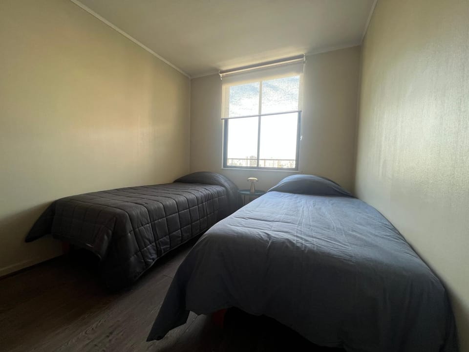 Espectacular depto Barrio Italia - 1100 LB Apartment in Santiago