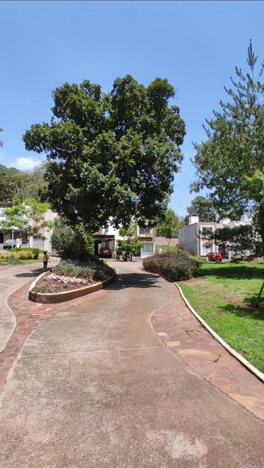 Neighbourhood, Natural landscape, Garden, View (from property/room), Garden view, Street view