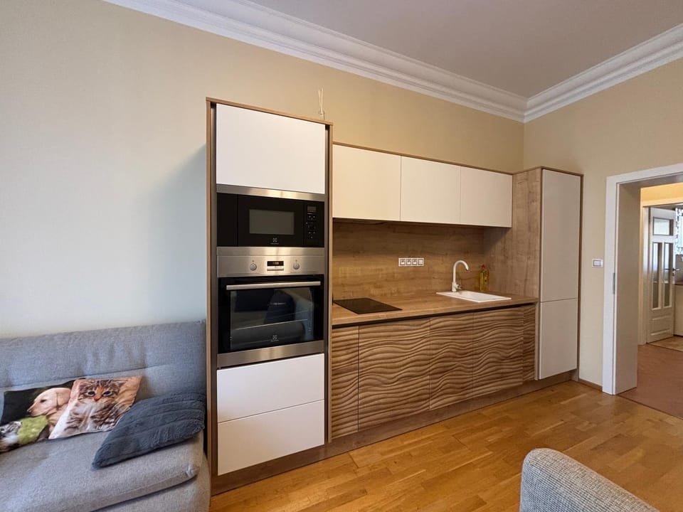 Kitchen or kitchenette, dishwasher, oven