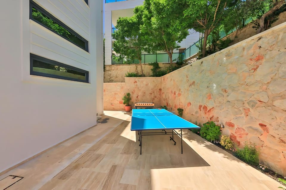 Table tennis