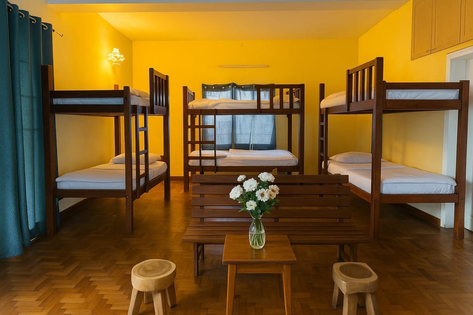 Bed, Photo of the whole room, bunk bed
