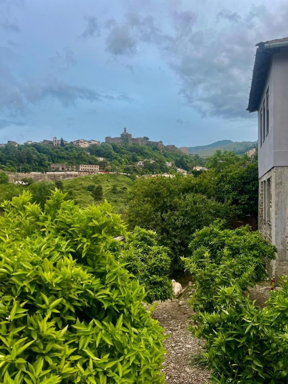 Garden