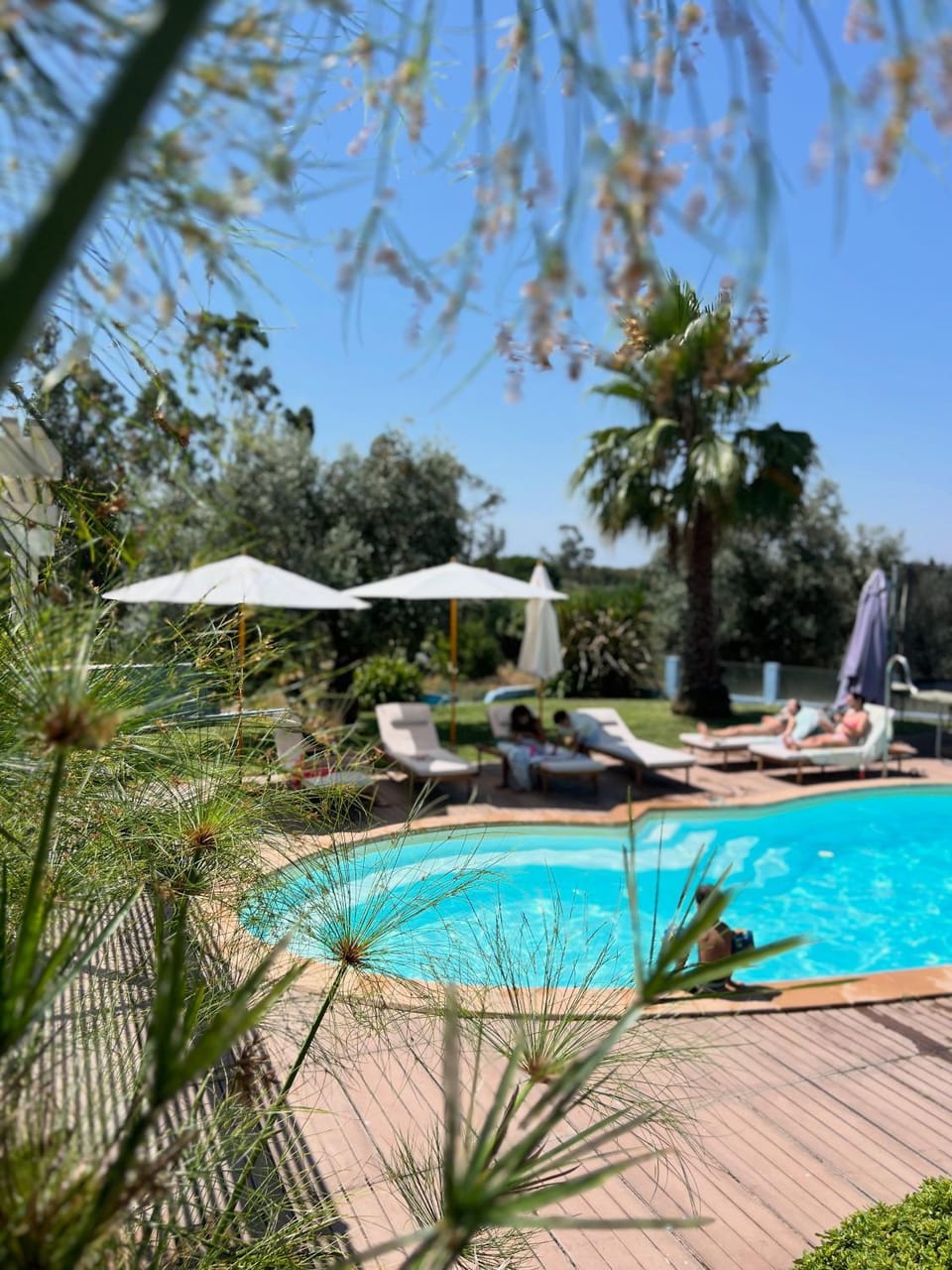 Villa Solar da Fonte - Montargil Villa in Santarém District, Portugal
