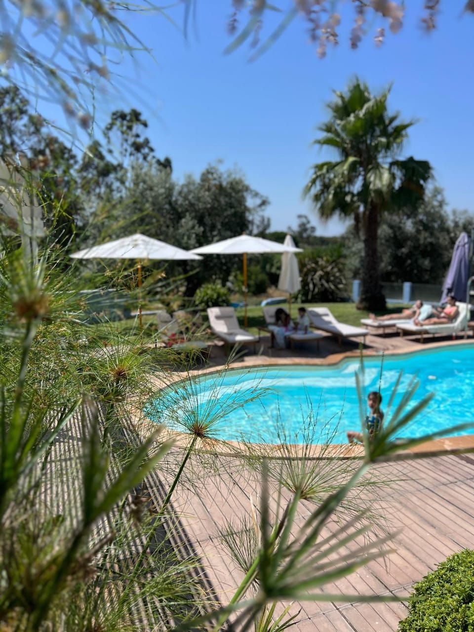Villa Solar da Fonte - Montargil Villa in Santarém District, Portugal