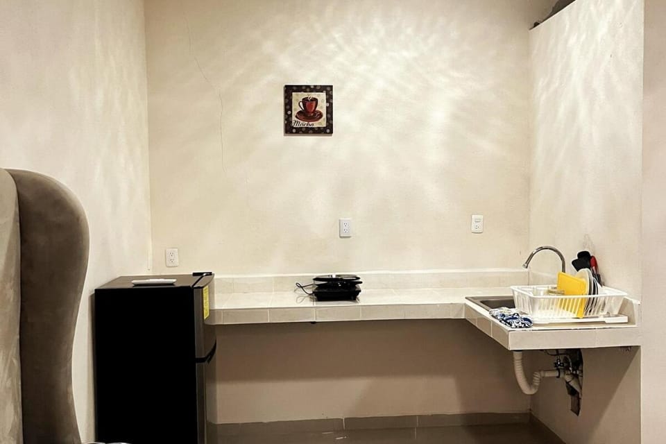Centrico loft6 en Pto Vallarta Apartment in Puerto Vallarta