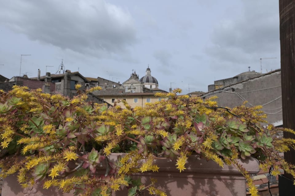 City view, Landmark view