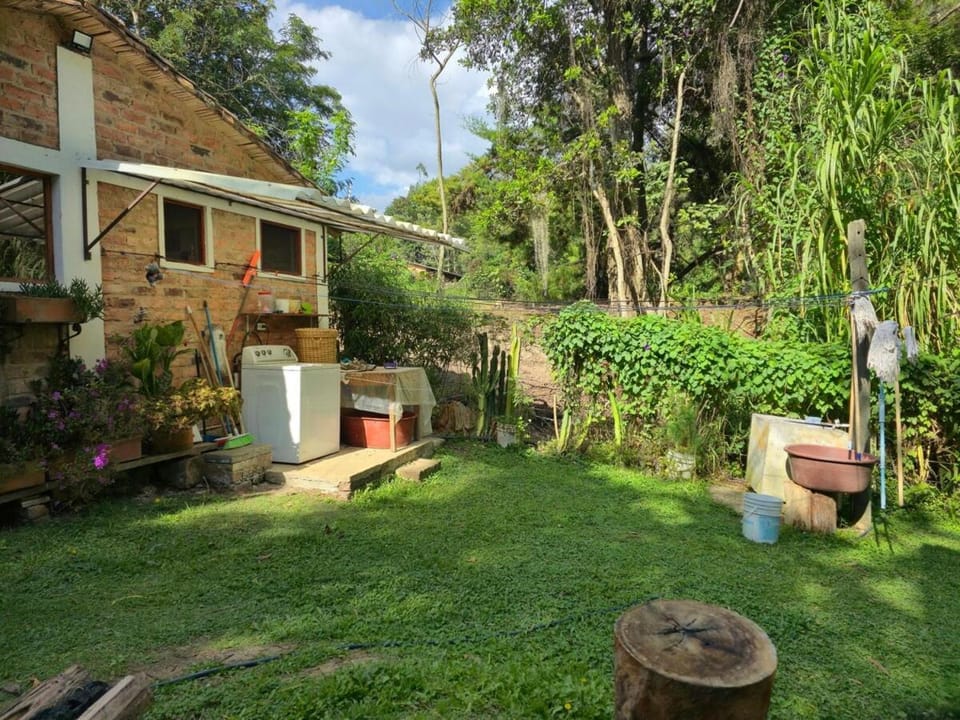 Garden view, laundry, washing machine