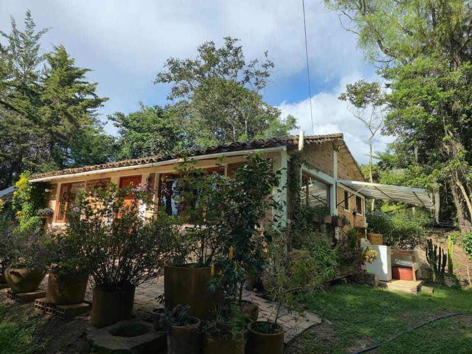 Property building, Garden view
