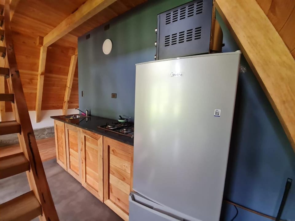 Cabaña Alpina Los Treiles House in Los Ríos, Chile