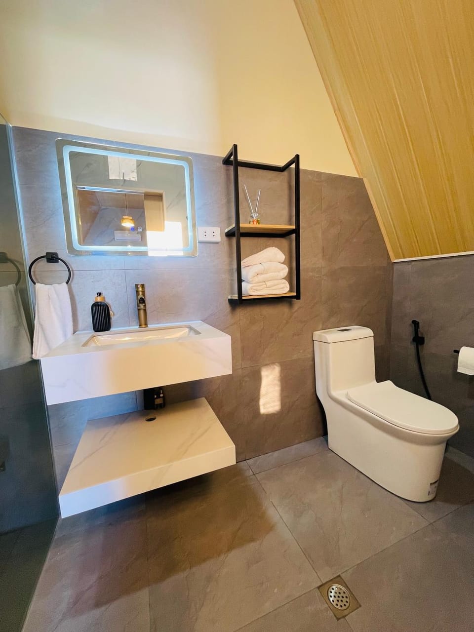 Toilet, Bathroom, bidet