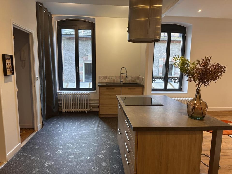 Gîte moderne en centre-ville de Moulins pour 4 personnes avec Wifi - FR-1-489-570 Apartment in Moulins