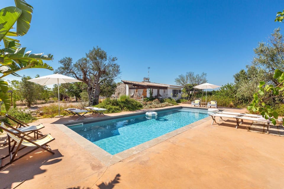 Day, Pool view, Swimming pool, sunbed