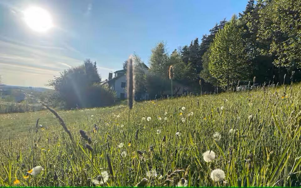 Natural landscape