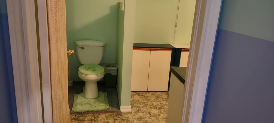 1-bdrm apartment 3 min walk to McMaster University Apartment in Hamilton