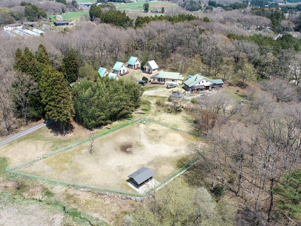 Natural landscape, pet friendly