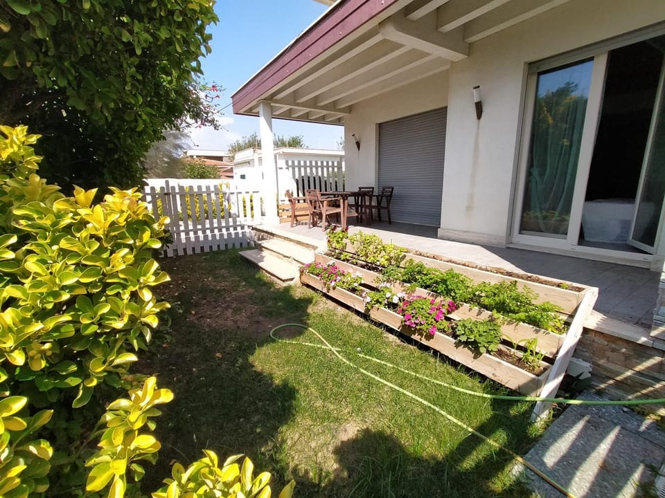 Patio, Garden