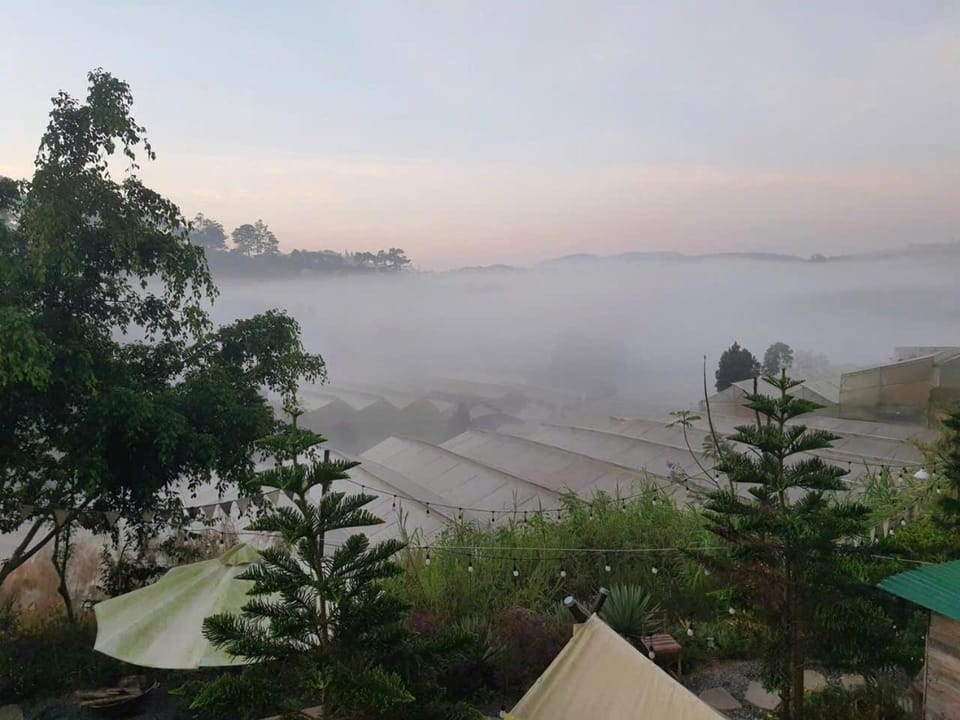 Dalana Coffee Camping Đà Lạt Campground/ 
RV Resort in Dalat