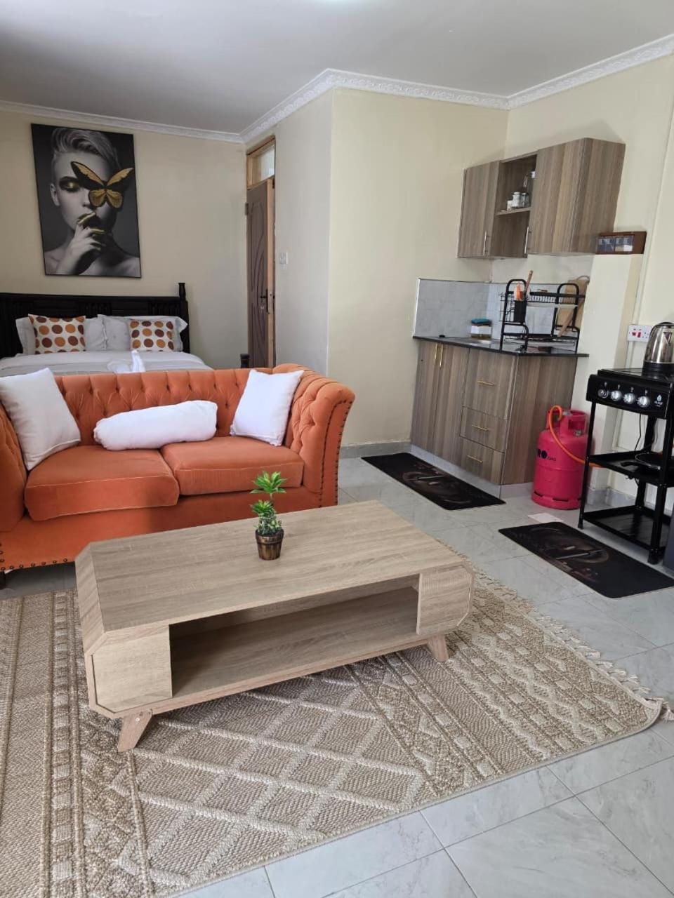 Jay Homes - Naiposha Executive Studios in Naivasha Apartment in Kenya