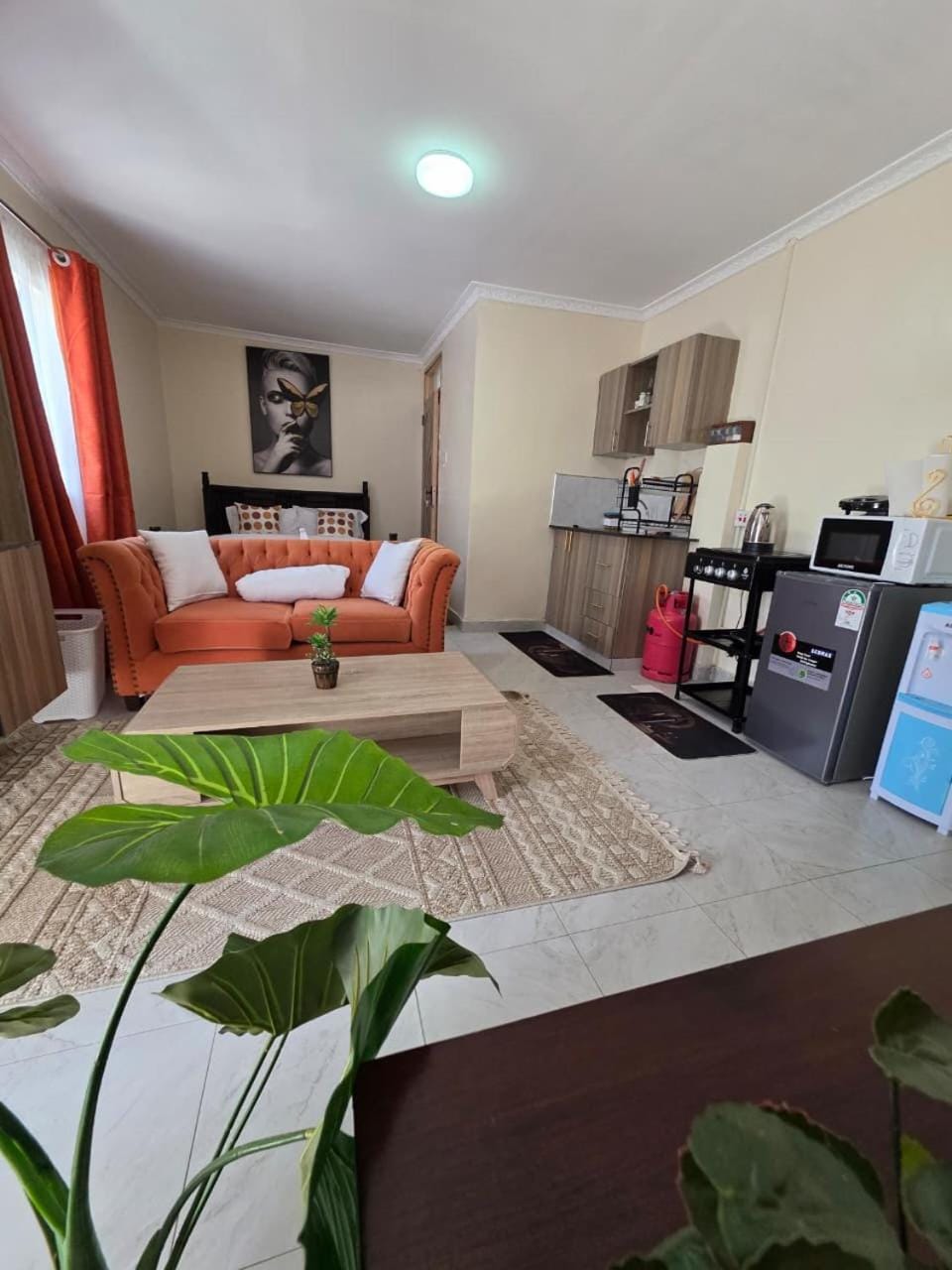 Jay Homes - Naiposha Executive Studios in Naivasha Apartment in Kenya