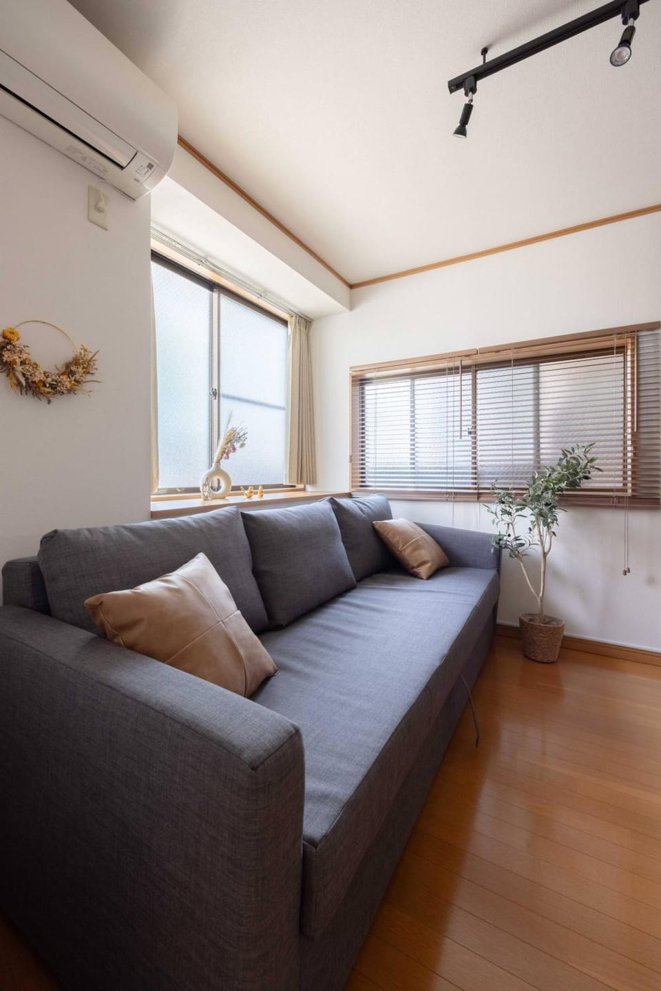 Living room, Photo of the whole room, air conditioner