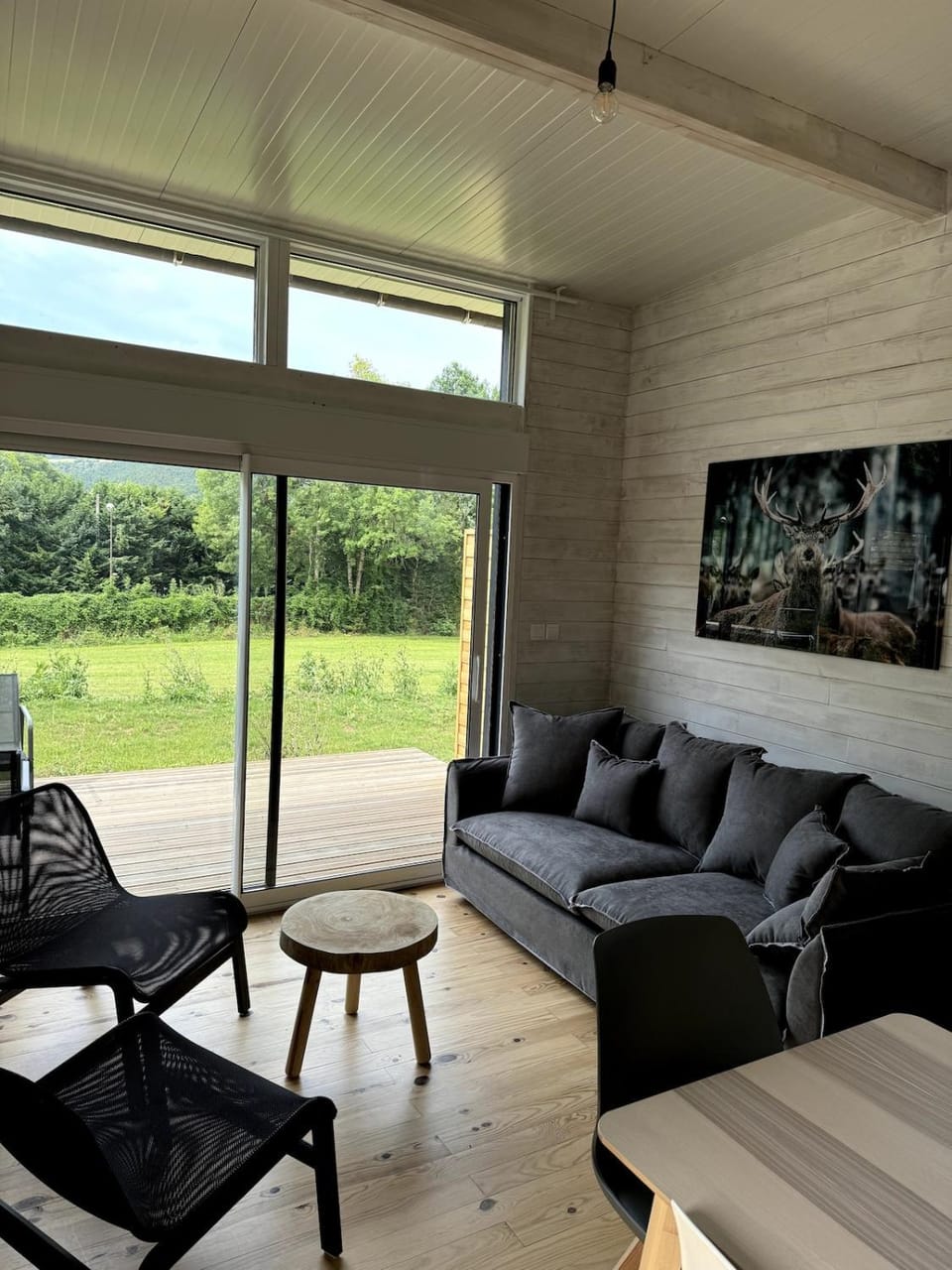 Patio, Living room, Garden view
