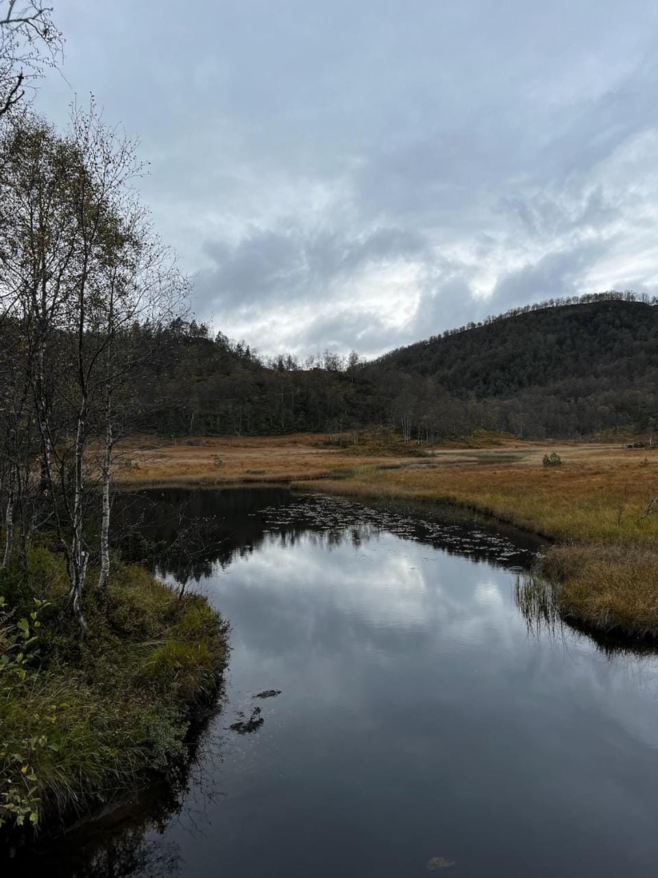 Natural landscape