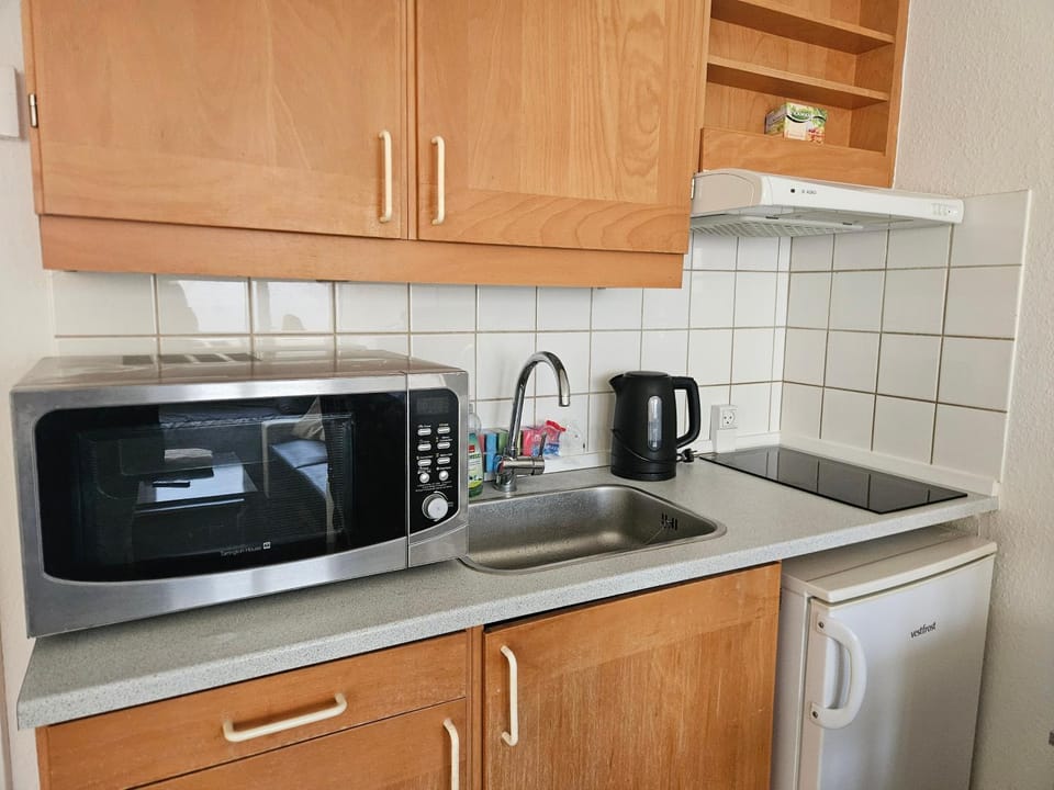 Cozy One Room Apartment Apartment in Zealand