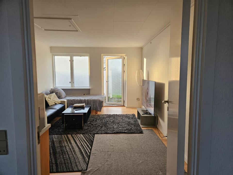 Cozy One Room Apartment Apartment in Zealand