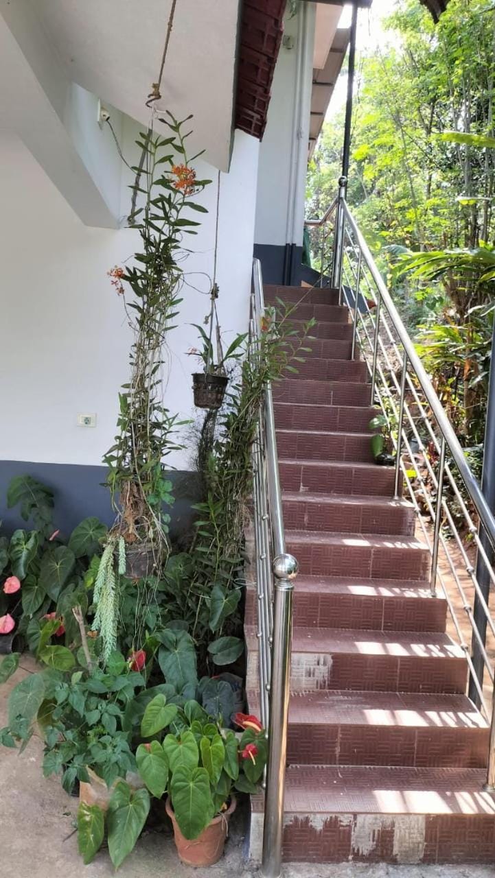 VELLAKUZHY Homestay Wayanad Villa in Kerala