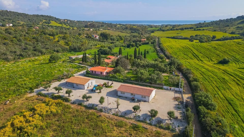 Neighbourhood, Natural landscape, Bird's eye view