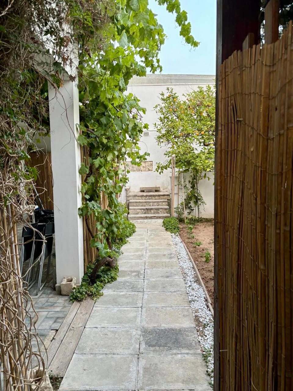 L'Asfodelo Apartment in Apulia