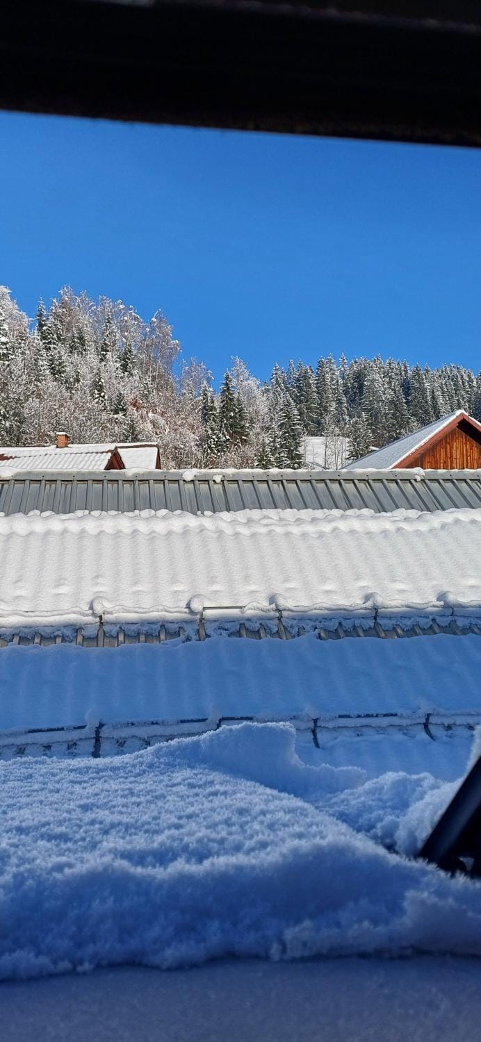 HIŠA Margit Apartment in Friuli-Venezia Giulia