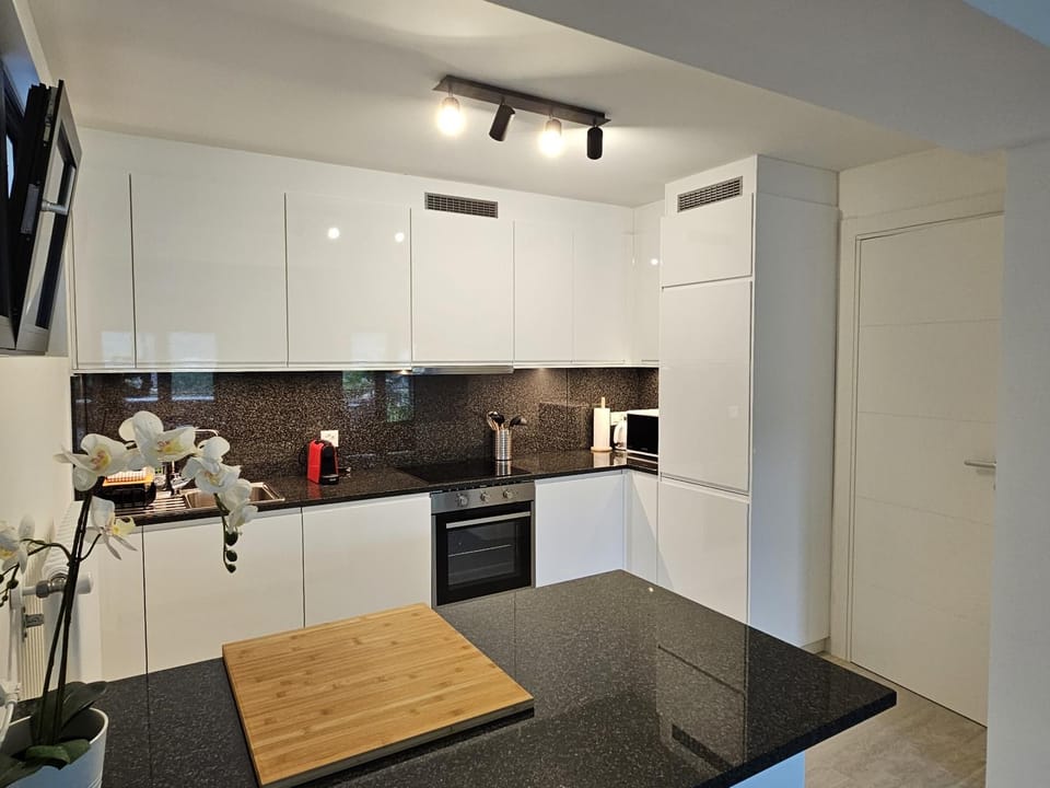 Bella Vista & SPA Apartment in Canton of Ticino