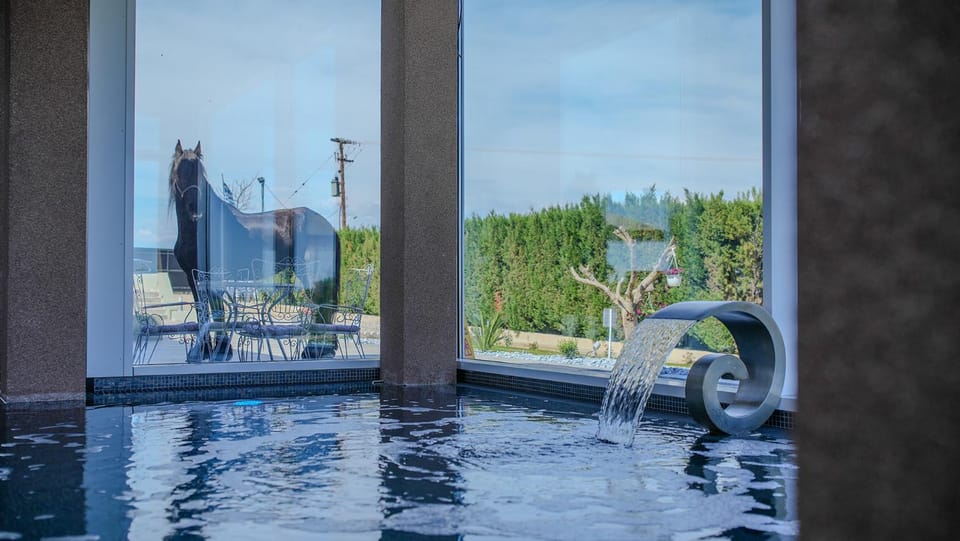 Hot Tub, Swimming pool