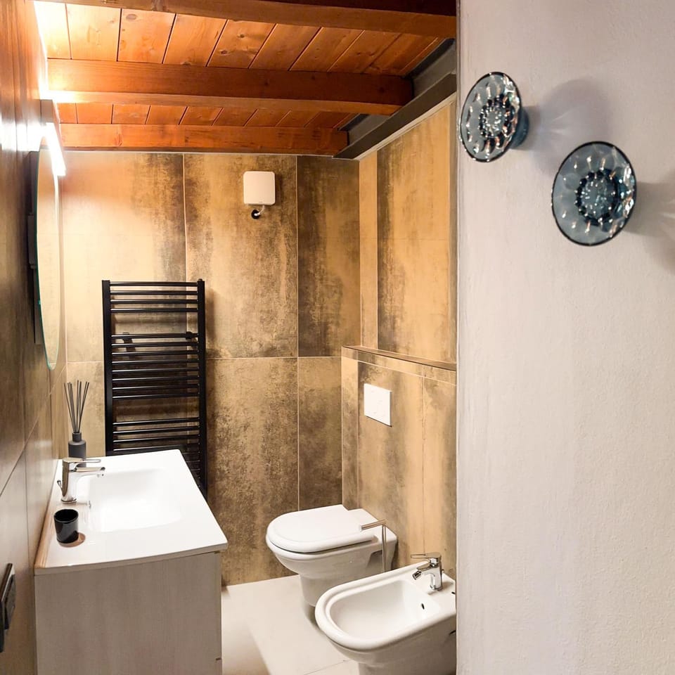 Shower, Toilet, Bathroom, bidet, hair dryier, heating, towels