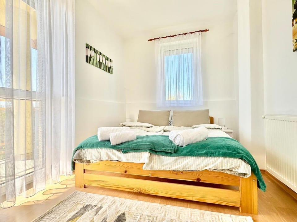 Riverside Residence Free Parking Apartment in Hungary