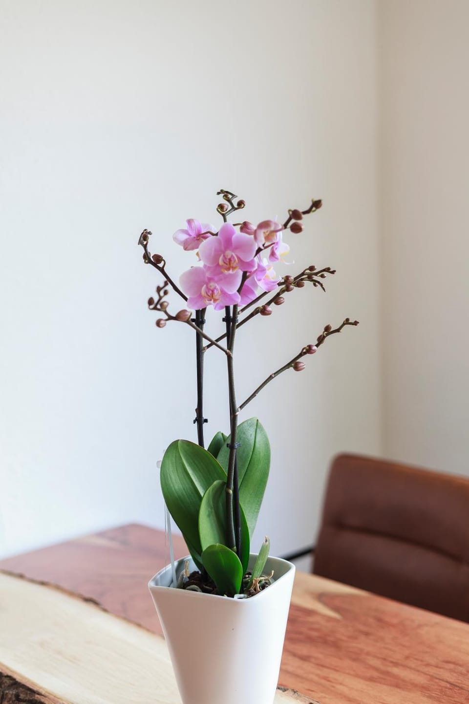 City Flat Apartment in Hanover