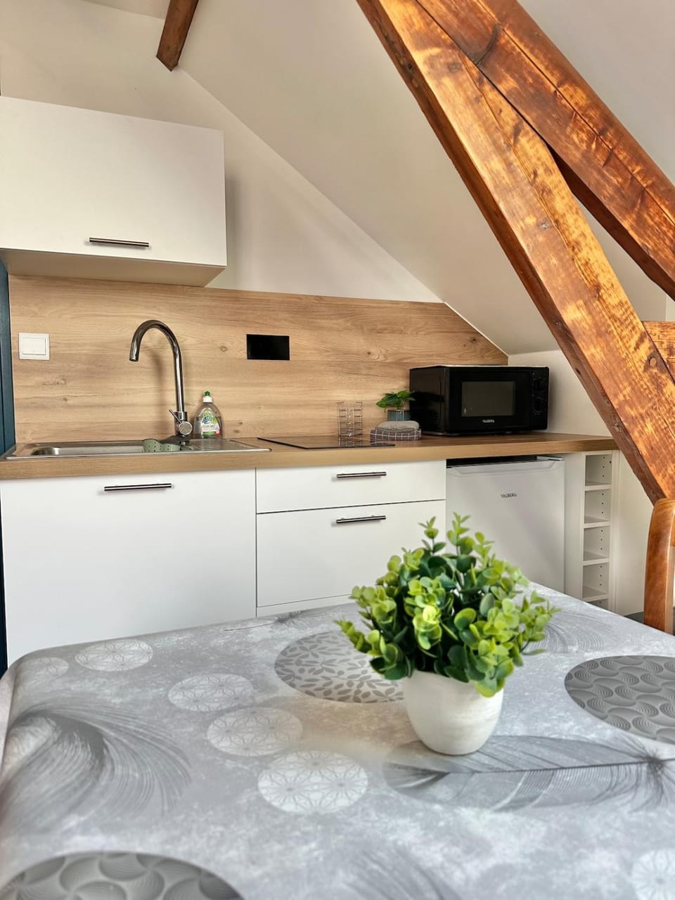 Kitchen or kitchenette, Dining area, microwave, stove