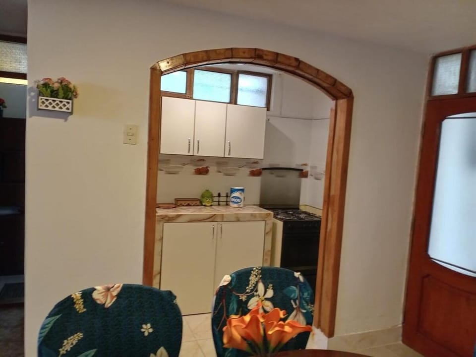 Kitchen or kitchenette, oven